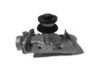 DAIHA 1610087244 Water Pump